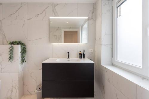 La salle de bains est pourvue d'un lavabo et d'un miroir. dans l'établissement Ruime penthouse tot 8 personen vlakbij het centrum, à Ostende