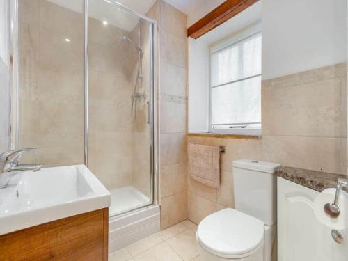 y baño con ducha, aseo y lavamanos. en Oak Cottage - Near Abergavenny, en Abergavenny