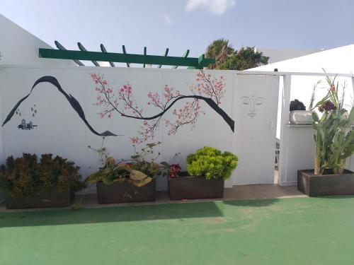 una pared blanca con macetas en un patio en Apartamento Caracol Yaiza, en Yaiza