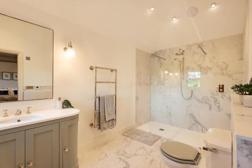 een badkamer met een wastafel, een toilet en een douche bij Trevidgeowe Farmhouse in Bodmin
