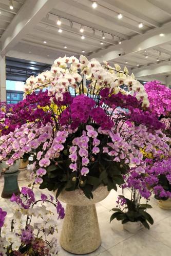 a large vase filled with purple and white flowers at Chambre 5 minutes de la gare à pieds in Les Mureaux