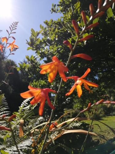 Photo de la galerie de l'établissement Bamboo & Spa, à Plélan-le-Petit