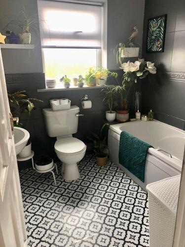 a bathroom with a toilet and a tub with plants at No. 8 in Kilkelly