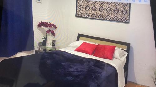 San Lorenzo的住宿－Apartamento las Rosas，一间卧室配有一张带红色枕头的床和一张桌子