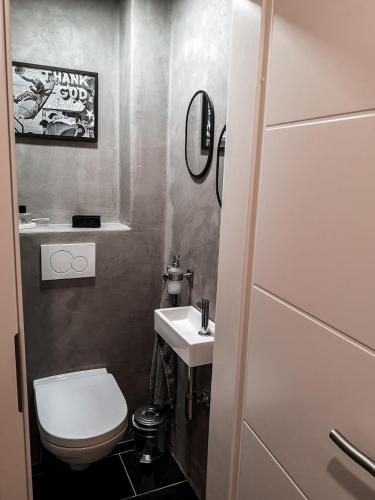 a small bathroom with a toilet and a sink at Ferienhaus zur Weinfee in Briedel