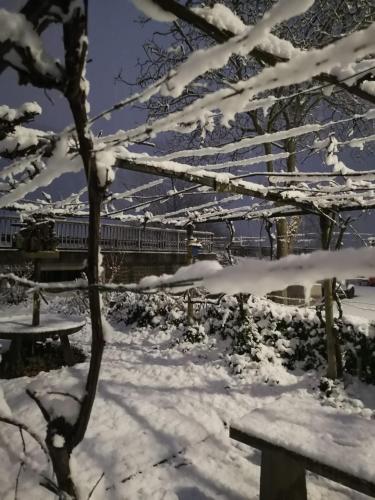 a snow covered tree with a train in the background at Ferienhaus zur Weinfee in Briedel