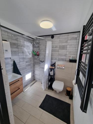 a bathroom with a shower and a toilet and a sink at Apartament Nova Kamienica - Studio in Łagów