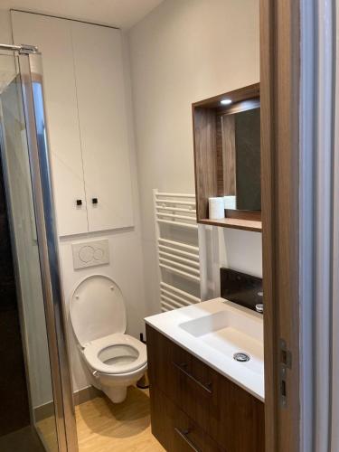 a bathroom with a toilet and a sink at Studio Saint Germain des près in Paris