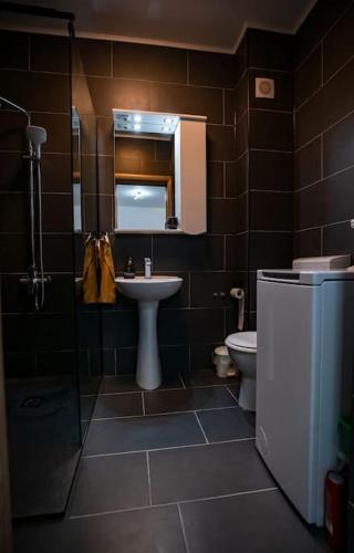 a bathroom with a sink and a shower and a toilet at Sunrise Apartment in Oradea