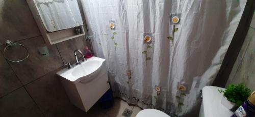y baño con cortina de ducha, lavabo y aseo. en Departamento Céntrico Amplio en Salta