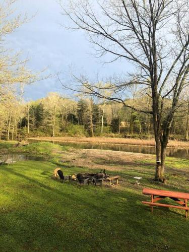 a group of animals in a field next to a bench at Caddo Cabin on Collier Creek in Norman