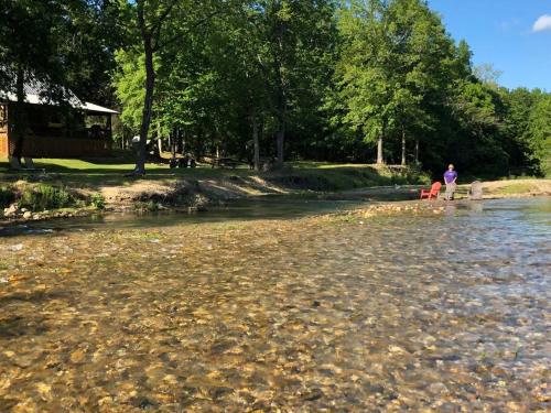 two people and two dogs standing in the water at Caddo Cabin on Collier Creek in Norman