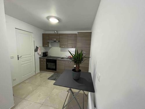 - une cuisine avec une table et une plante en pot dans l'établissement Top appartement 10 minutes de Disney, à Chessy