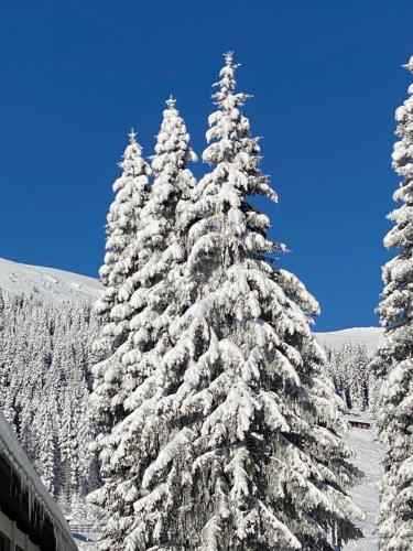 Ferienwohnung Lachtal