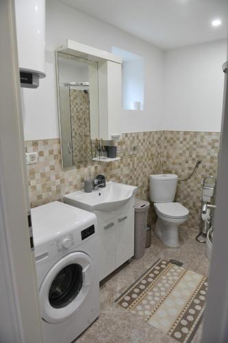a bathroom with a washing machine and a sink at Apartman Lucia in Ðakovo