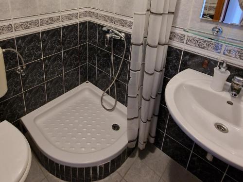 een badkamer met een douche, een toilet en een wastafel bij Laguna Apartment in Mlini