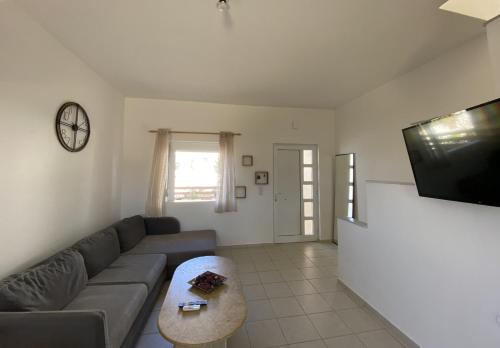 TV a/nebo společenská místnost v ubytování Acrogiali Home