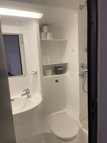 une salle de bain avec toilettes, lavabo et miroir dans l'établissement Ferienapartment TESLA im Wellnesshotel - Bayerischer Wald, à Sankt Englmar