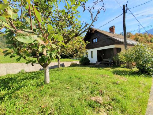 a small tree in front of a house at Bella Bela Apartments 18A in Bled