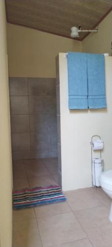a bathroom with a shower and a toilet and blue towels at Cabinas fave in Uvita
