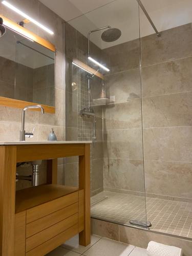 een badkamer met een douche en een glazen deur bij T2 au coeur de Ermitage à 300 mètres du lagon in Saint-Gilles-les-Bains