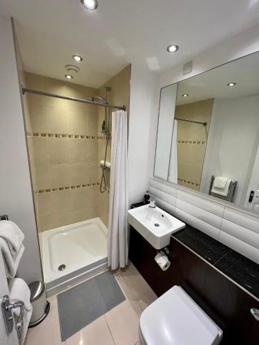 a bathroom with a sink and a shower and a toilet at Ferndale Mews in Bristol