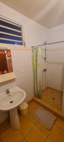 a bathroom with a toilet and a sink and a shower at Studio pour 2 personnes au calme en Basse-Terre in Vieux-Habitants