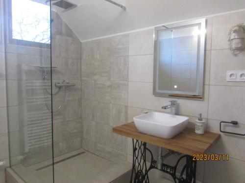 a bathroom with a sink and a shower at Levendulas Apartman in Balatonalmádi
