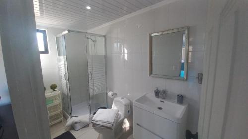 een badkamer met een toilet, een wastafel en een spiegel bij Cabaña con Tinaja -Litueche in Navidad
