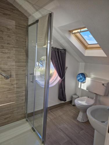 a bathroom with a shower and a toilet at Churchfield B&B in Doolin