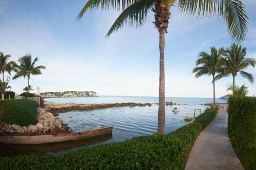a palm tree next to a beach with the ocean at Courtyard by Marriott Faro Blanco Resort in Marathon