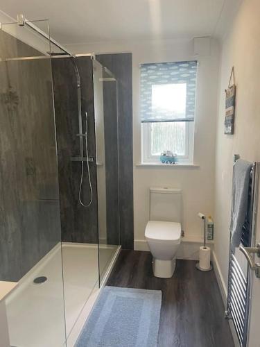 a bathroom with a toilet and a glass shower at Sunny Corner - lovely 2 bedroom appt in Redruth