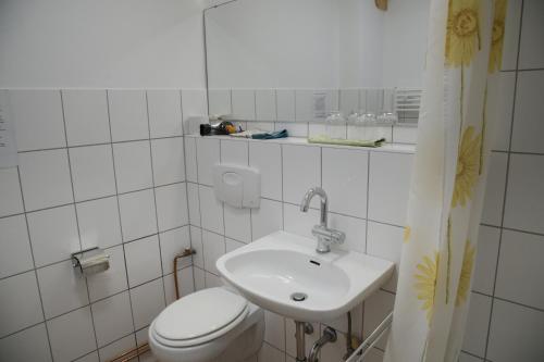 a white bathroom with a toilet and a sink at Bio-Gästehaus Rhöndistel in Poppenhausen