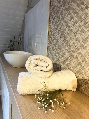 a bathroom with a sink and a towel on a counter at Gîte Loufiosa Vannes in Vannes