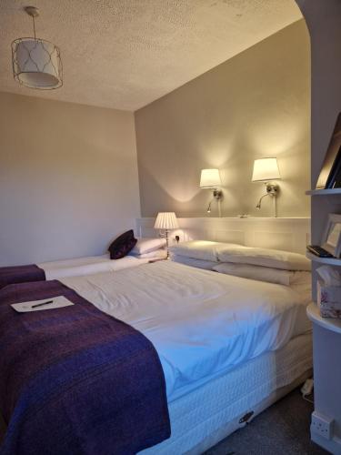 a large white bed in a room with two lamps at Churchfield B&B in Doolin