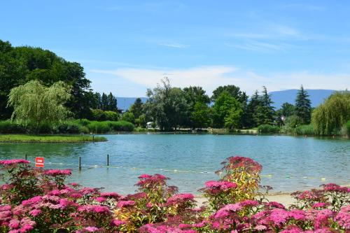 - une vue sur un lac avec des fleurs roses dans l'établissement Très beau studio, à Challes-les-Eaux