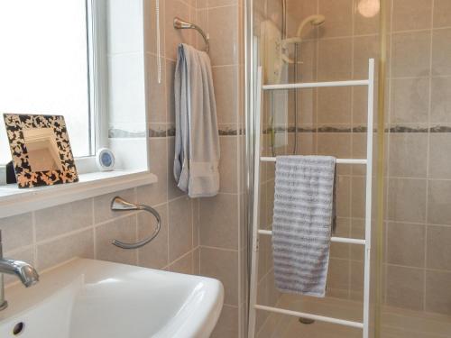 a bathroom with a shower and a sink at Breuddwydion Cymru welsh Dreams in Cemaes Bay