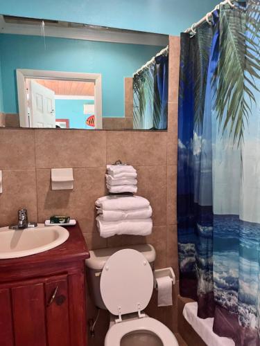 a bathroom with a toilet and a sink and a shower curtain at Bay Inn Estates in Alice Town