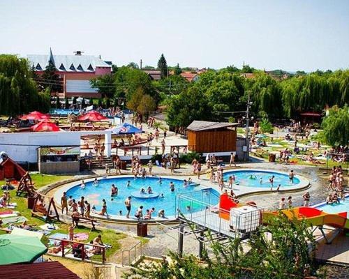un grupo de personas en una piscina en un parque de diversiones en Weisz Apartment-City Center-Free Private Parking,Wifi,Air conditioner, en Carei