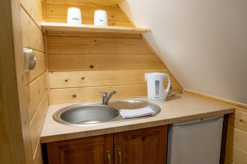 a bathroom with a sink in a tiny house at Apartamenty Aleksandra in Gronków