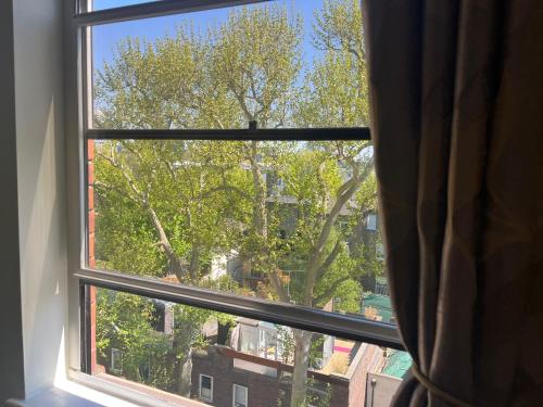 a window with a view of a tree at Hyde Park,3 min walk,Family home! 2 Bedrooms & 2 Bathrooms Apartment! Fantastic Location in London