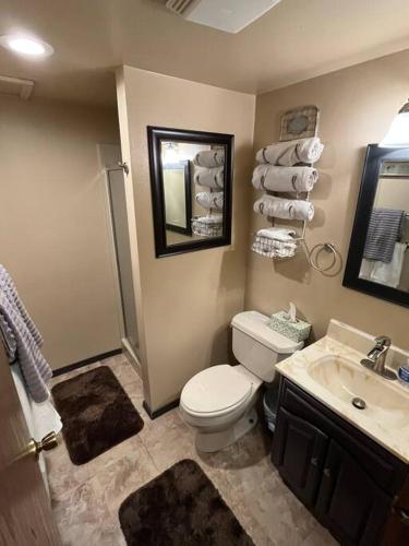 a bathroom with a toilet and a sink and a mirror at The Lakeside Eagle's Nest Near the Trail in Hurley