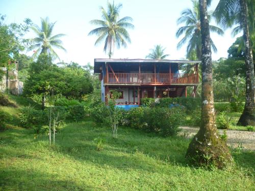 a house in the middle of a field with palm trees at Cabaña El Bien Germina Ya in El Valle