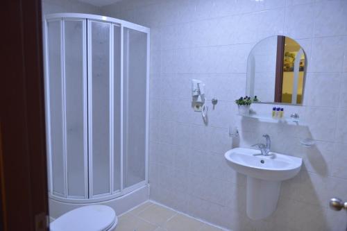 W łazience znajduje się prysznic, toaleta i umywalka. w obiekcie bolu old town guest house w mieście Bolu
