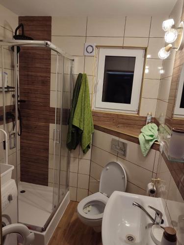 a bathroom with a shower and a toilet and a sink at Domek pod sosnami in Gaj