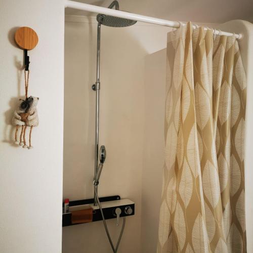 a shower in a bathroom with a shower curtain at Perníková chalúpka in Bojnice