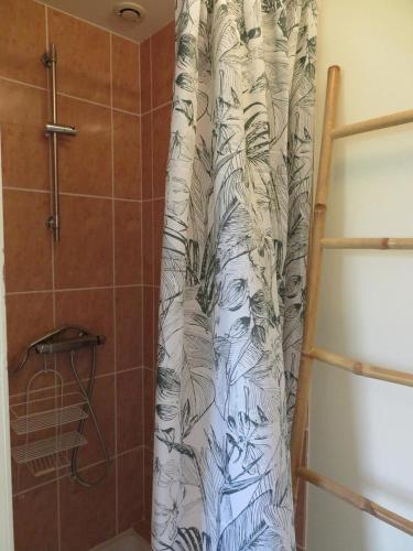 a bathroom with a shower with a white and black shower curtain at Le Gîte des Coloriés in Salies-de-Béarn