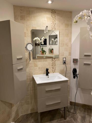 uma casa de banho com um lavatório e um espelho em La maison d’Aurélie em Pleudihen