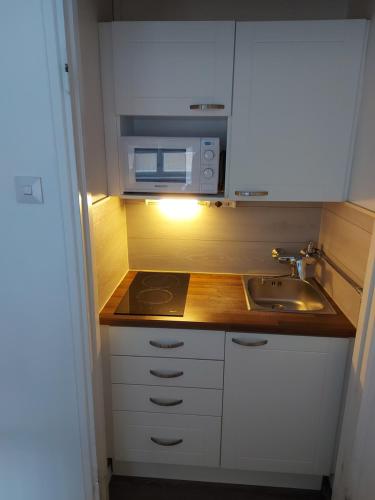 ポリにあるVarvinkatu apartmentのシンクと電子レンジ付きの小さなキッチン