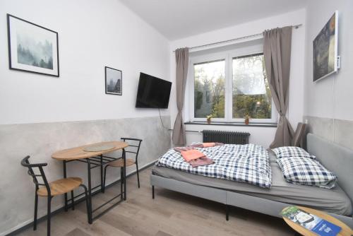 een slaapkamer met een bed, een tafel en een raam bij Apartmány IMLADRIS, Hotel u pralesa in Benešov nad Černou